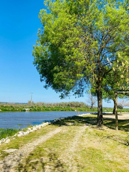 PARQUE DO CARRIL